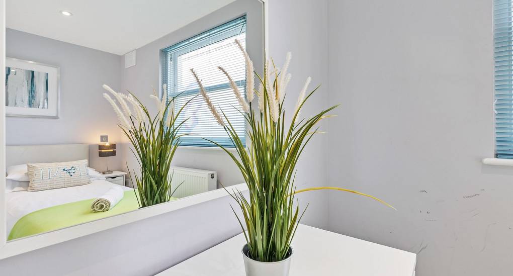 Bedroom 2 plant
