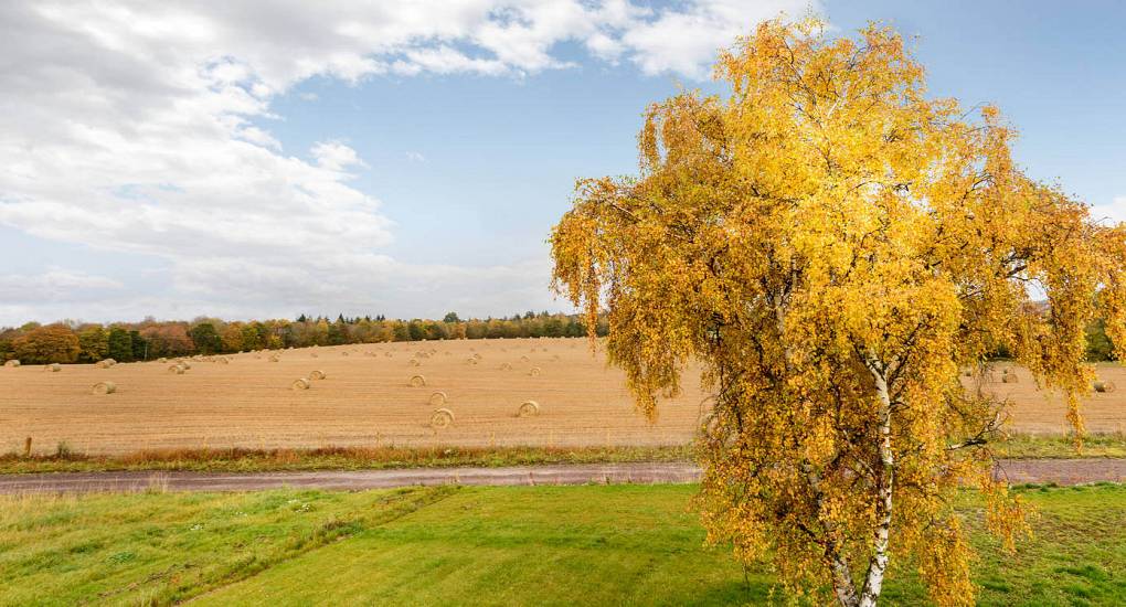 heather-cottage-scenery.jpg